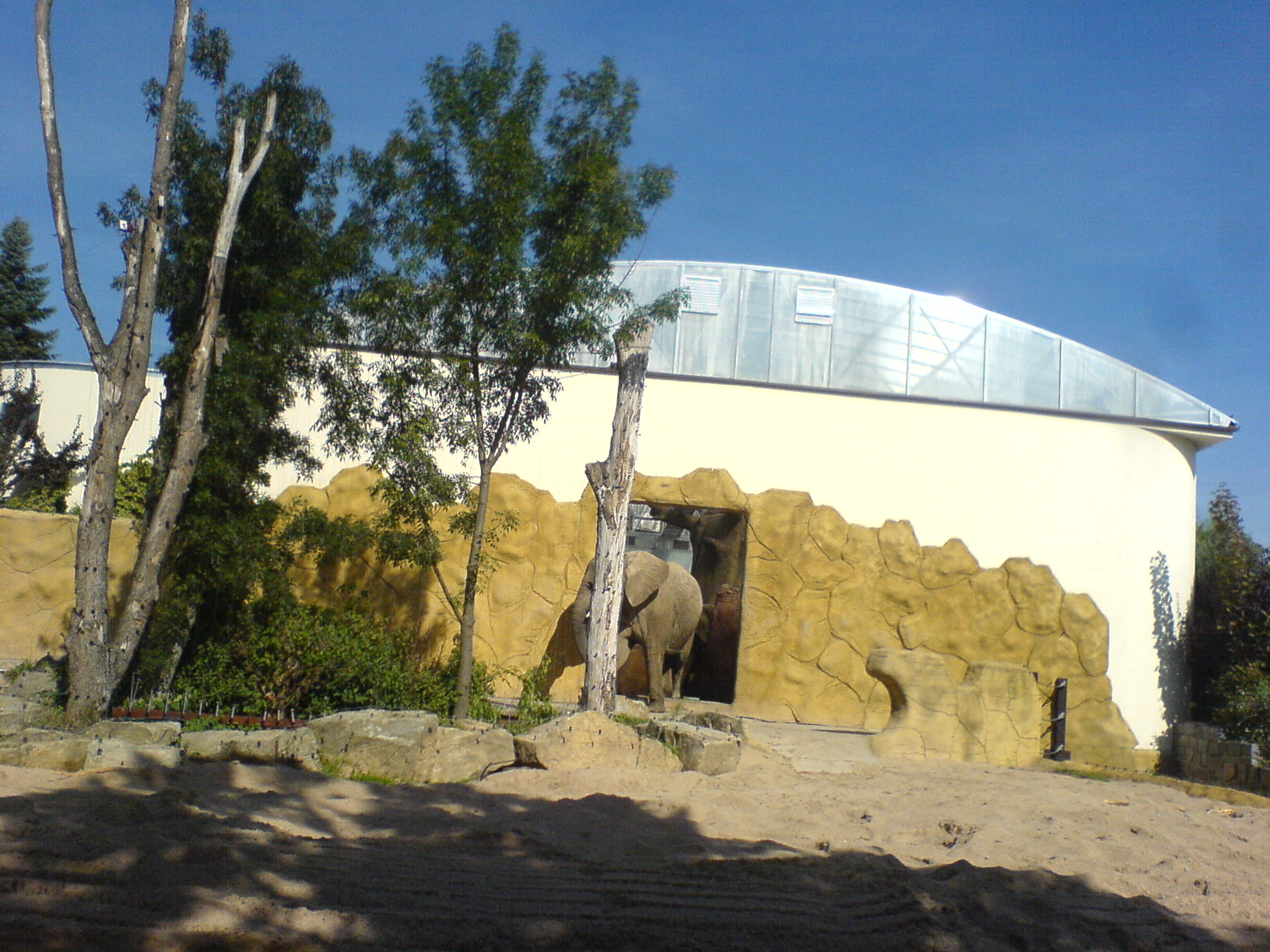 DSC00452.JPG