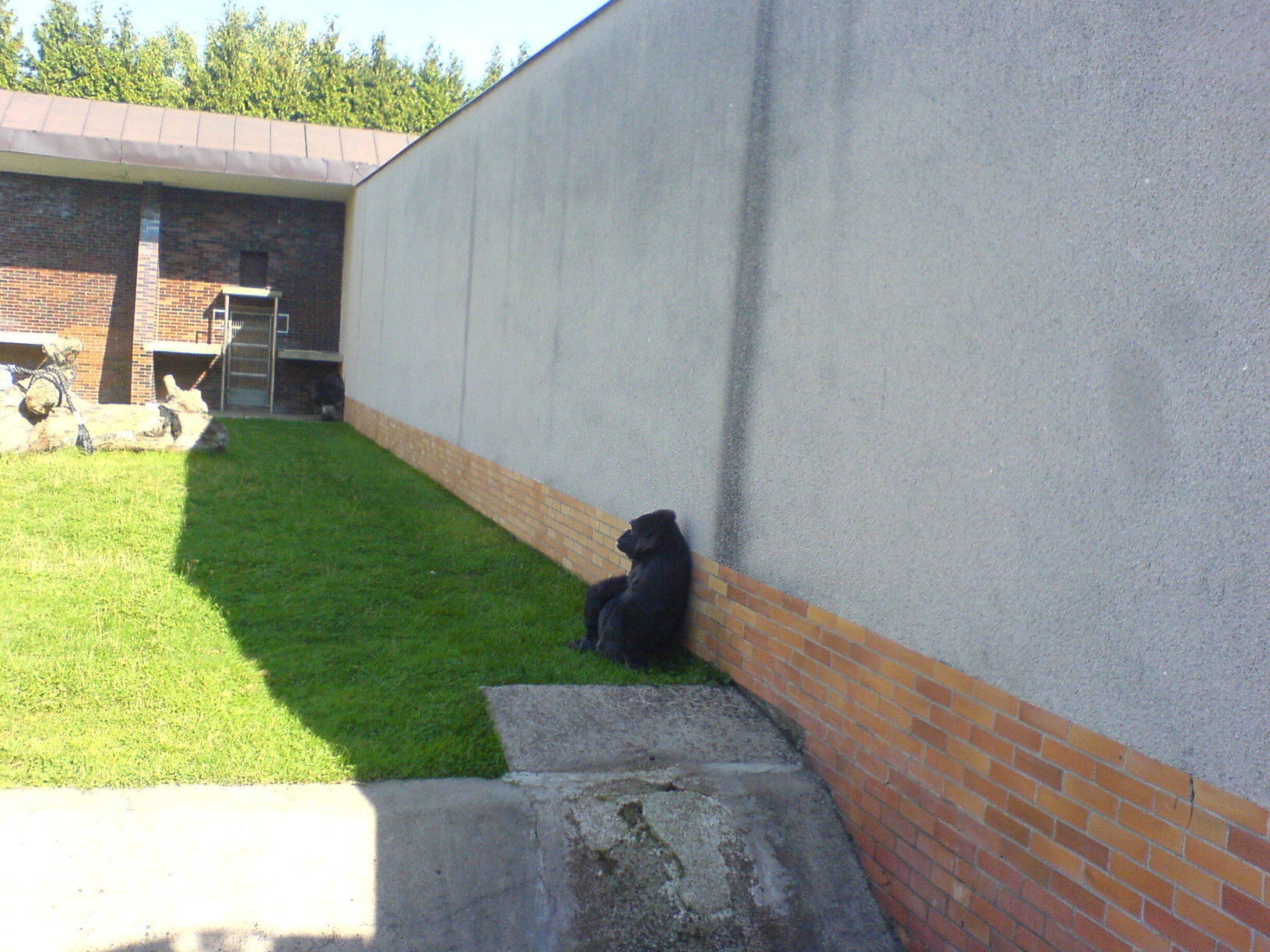 DSC00451.JPG
