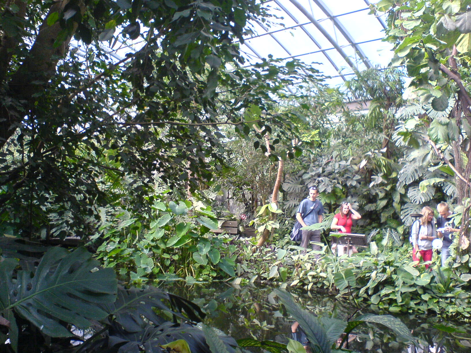 DSC00458.JPG
