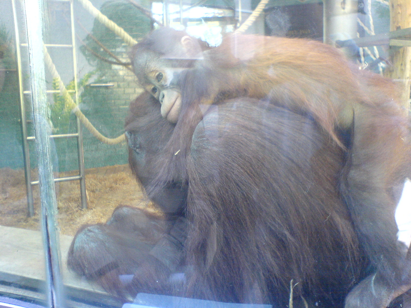 DSC00450.JPG